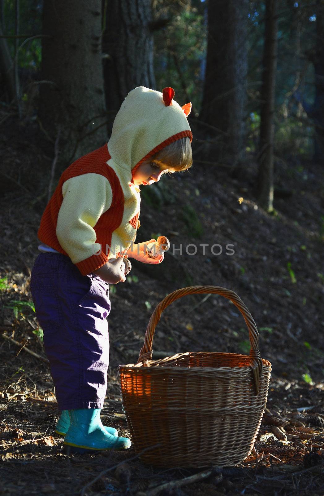 Little girl  gathers mushrooms in the forest on summer day