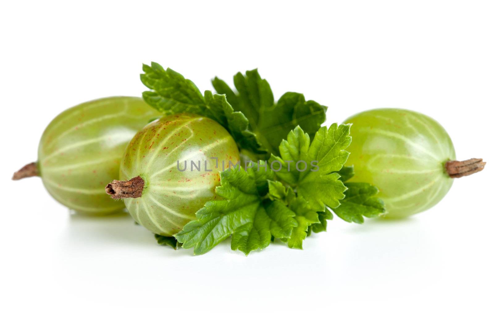 Green gooseberries with leaves on white background 