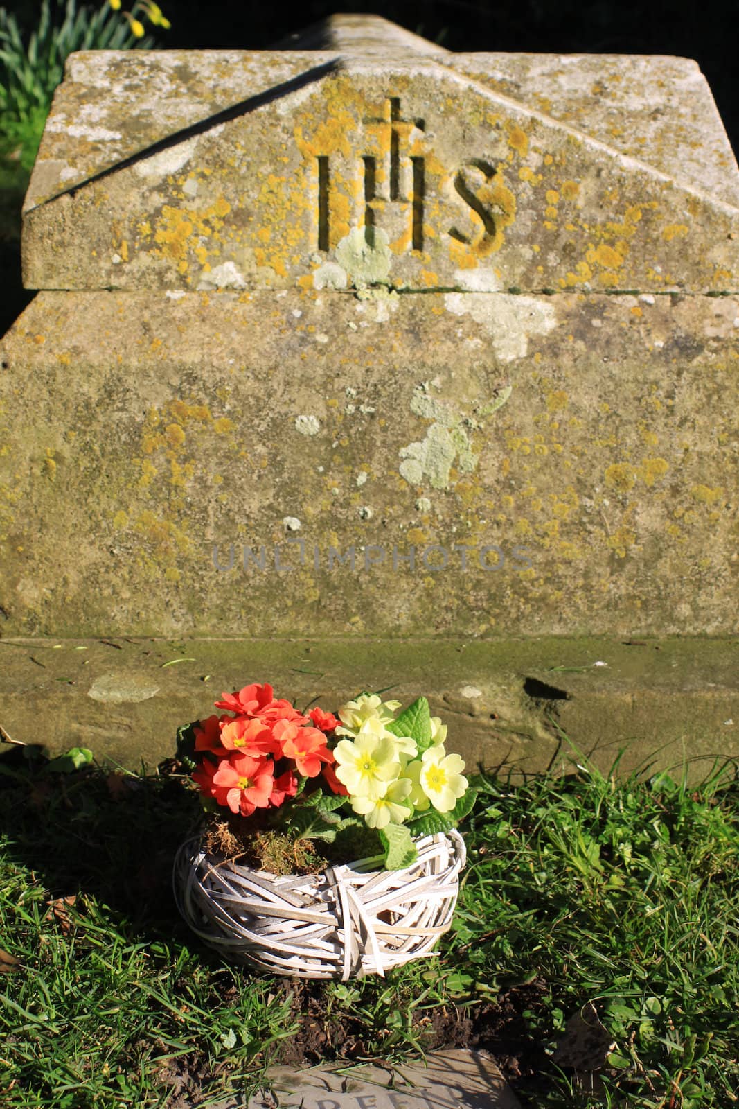 A basket of pink and yellow flowers, pansies, set in front of a weathered gravestone carved with the initials IHS. Set on a portrait format.