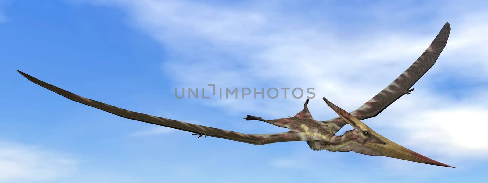 Pteranodon dinosaur flying in the blue sky with little clouds - 3D render