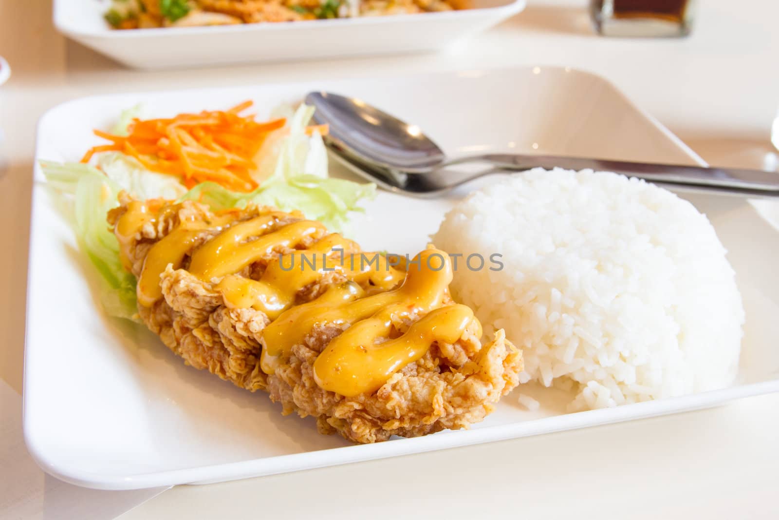 Fried chicken with topping sauce and rice