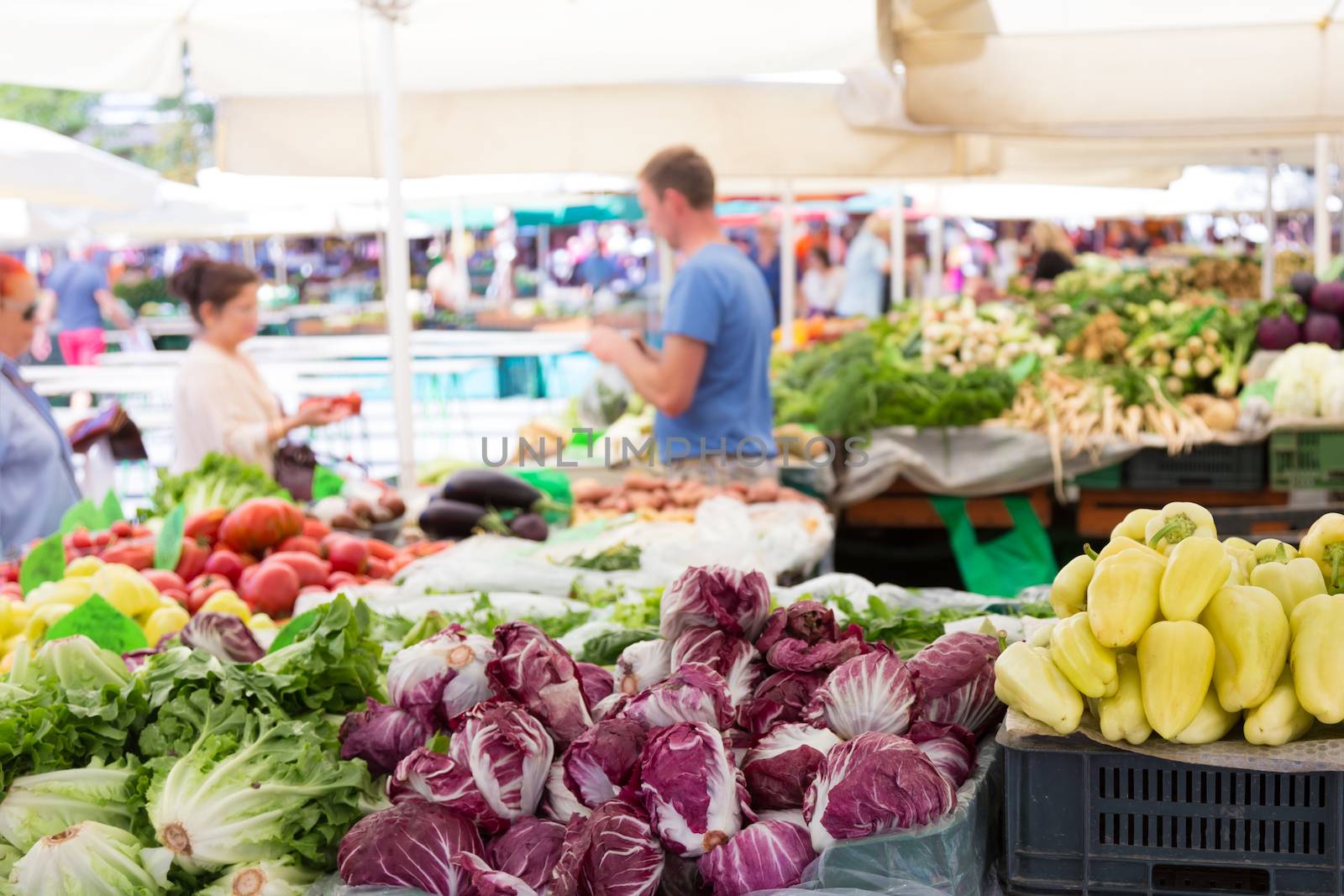 Market stall with variety of organic vegetable.