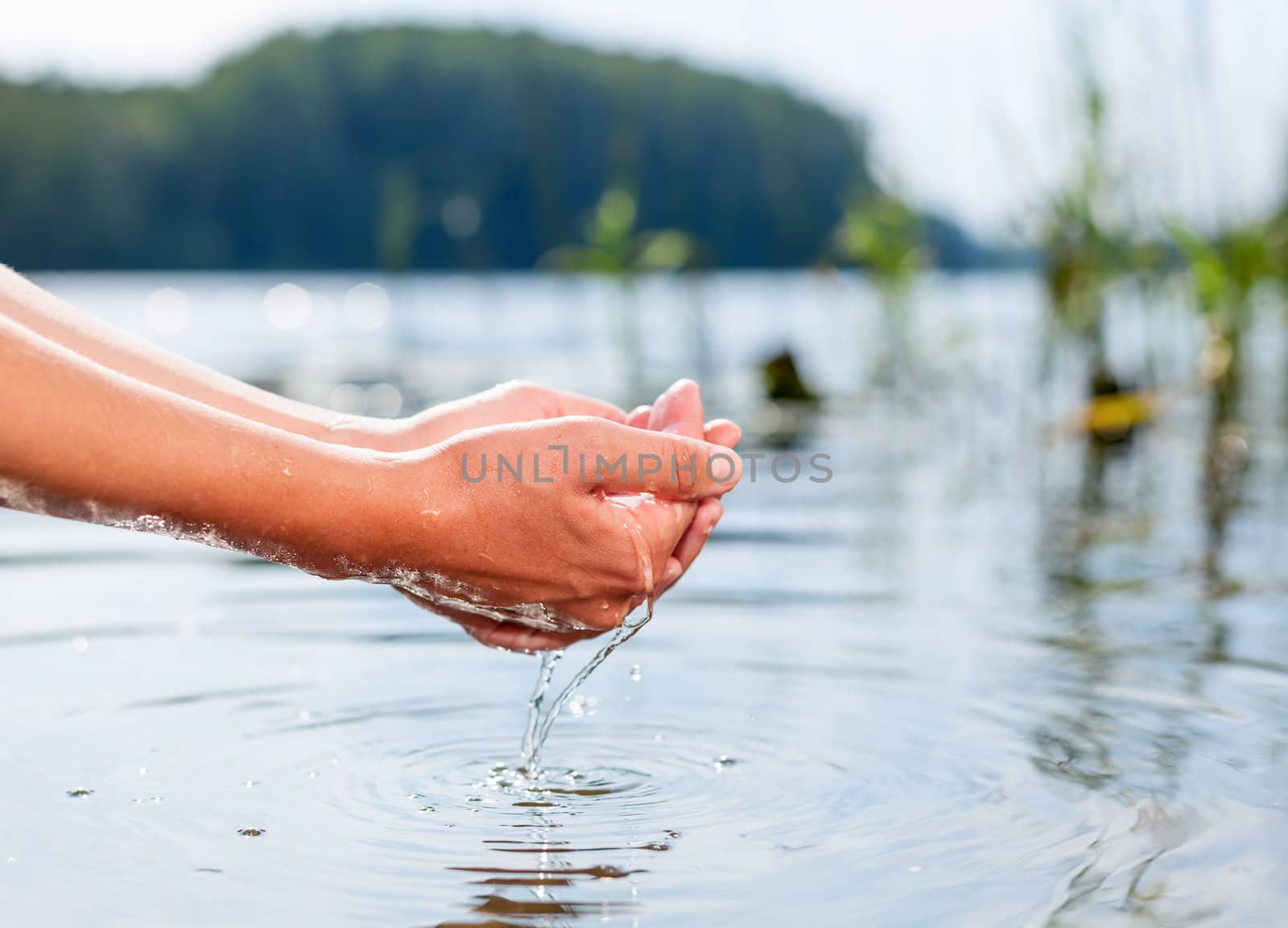 Holding water in cupped hands by naumoid