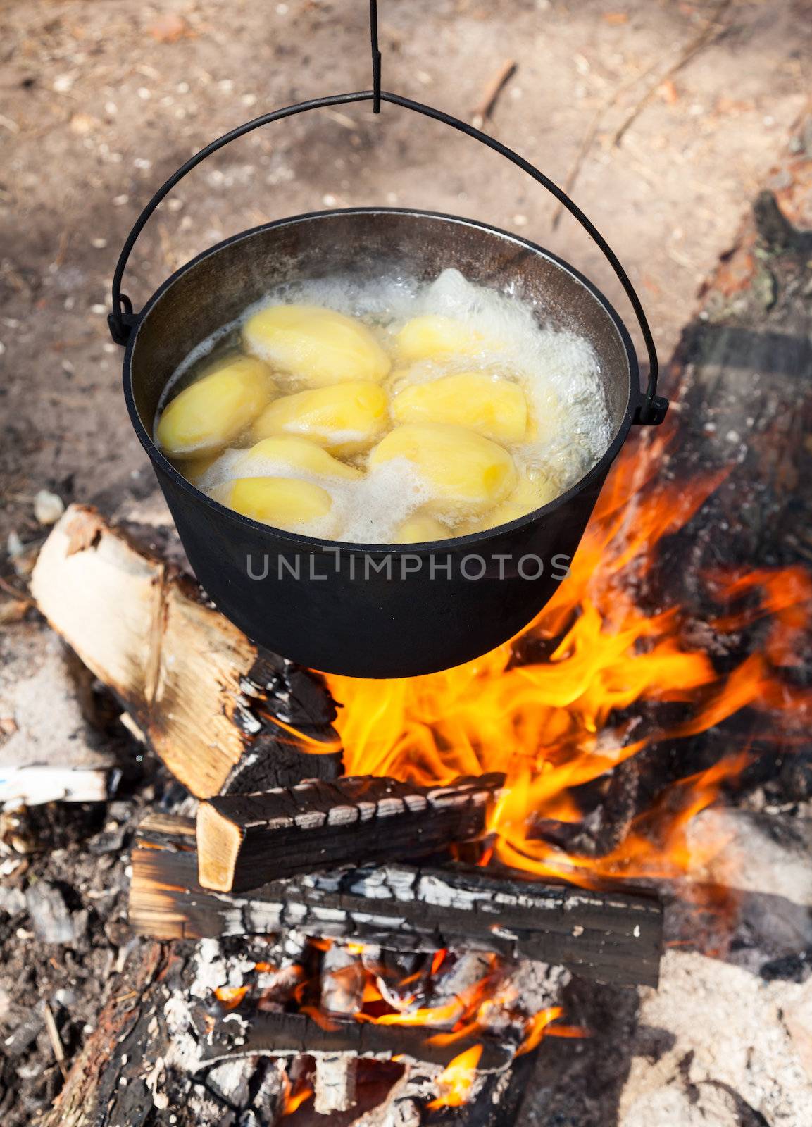 Cooking potatoes on a campfire