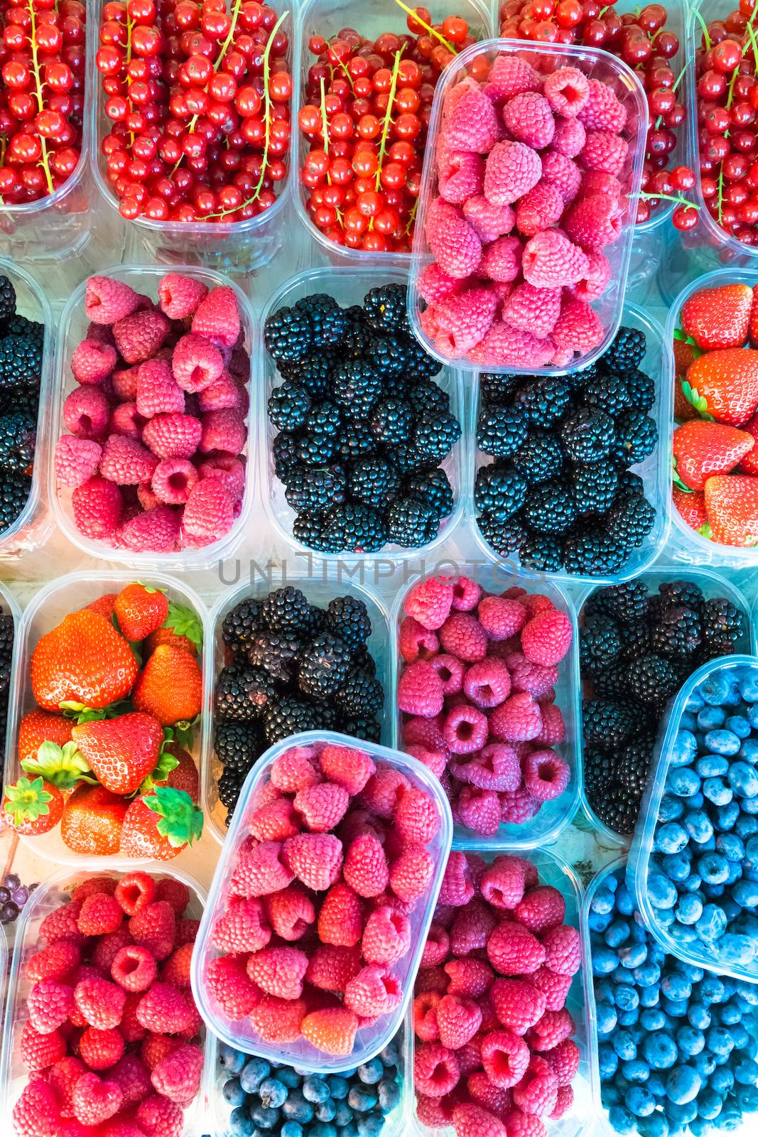 Blueberries, raspberries, strawberries, currants and blackberries in boxes formin colourful pattern.