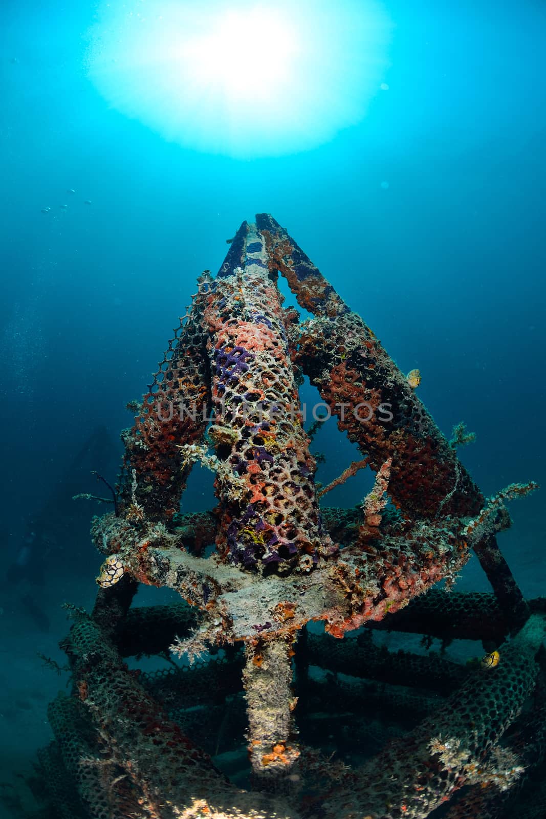 artificial reef in Mabul, kapalai, Malaysia