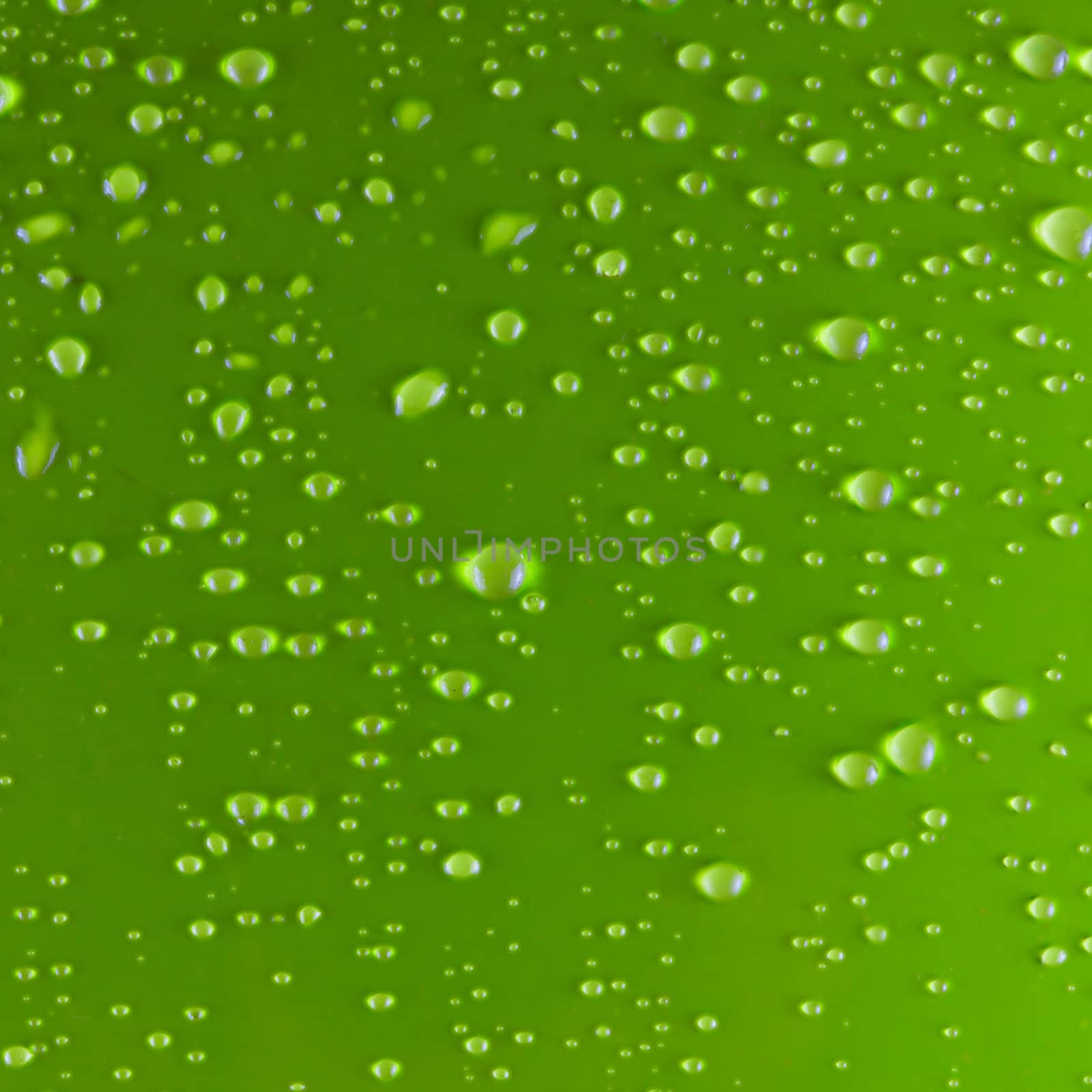 Green background full of water drops, square image