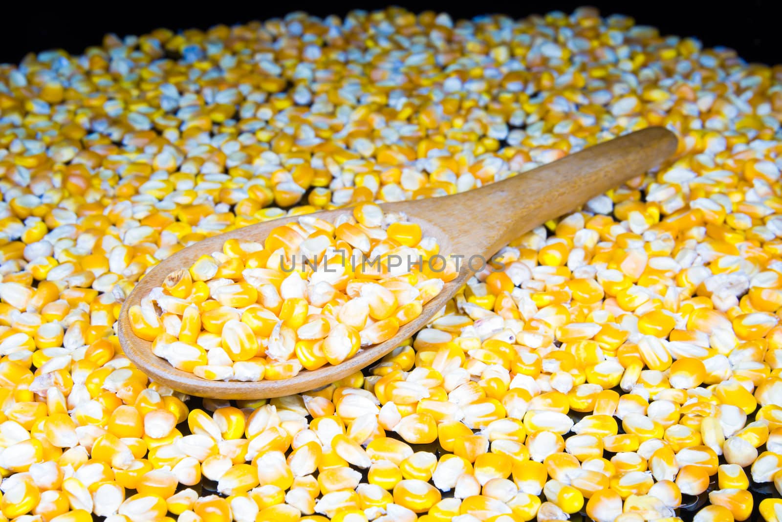 corn seeds in a wooden bowl