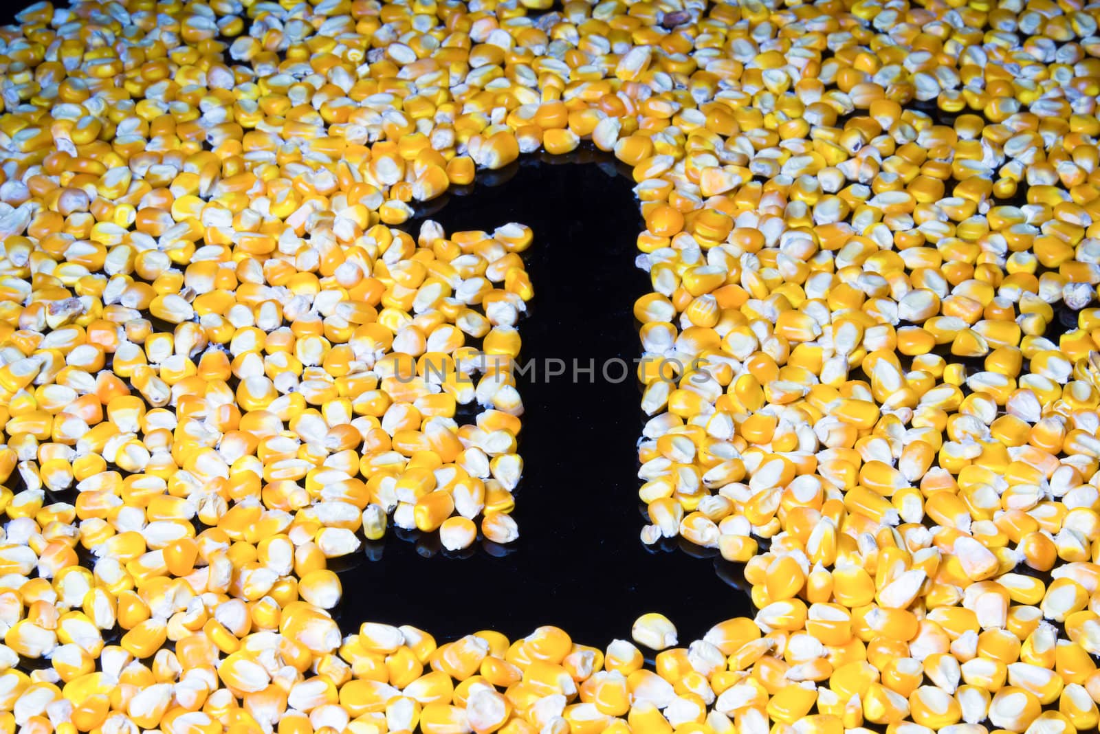 Corn made ​​the number one on a black background. by wmitrmatr