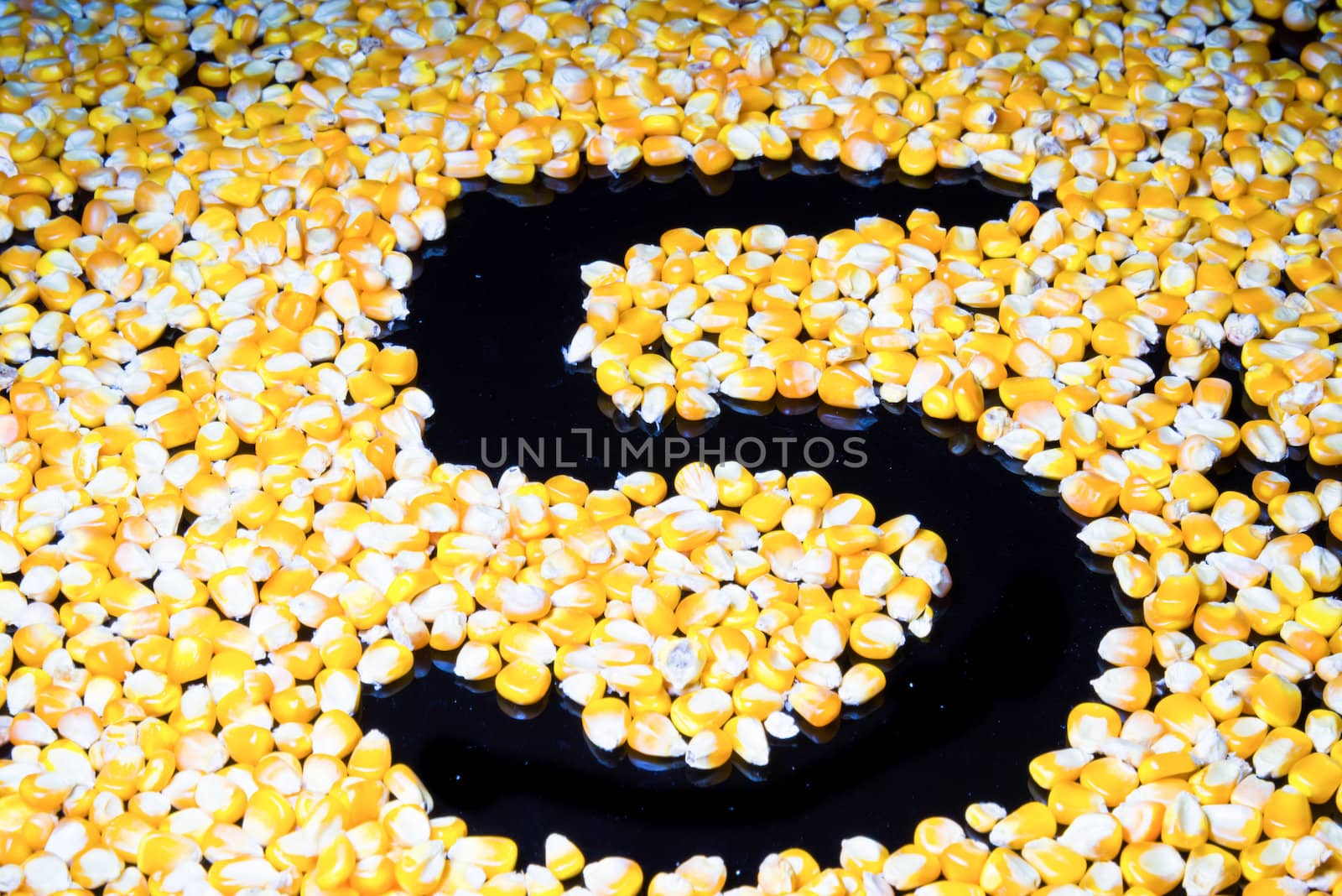 Corn made ​​the number five on a black background.