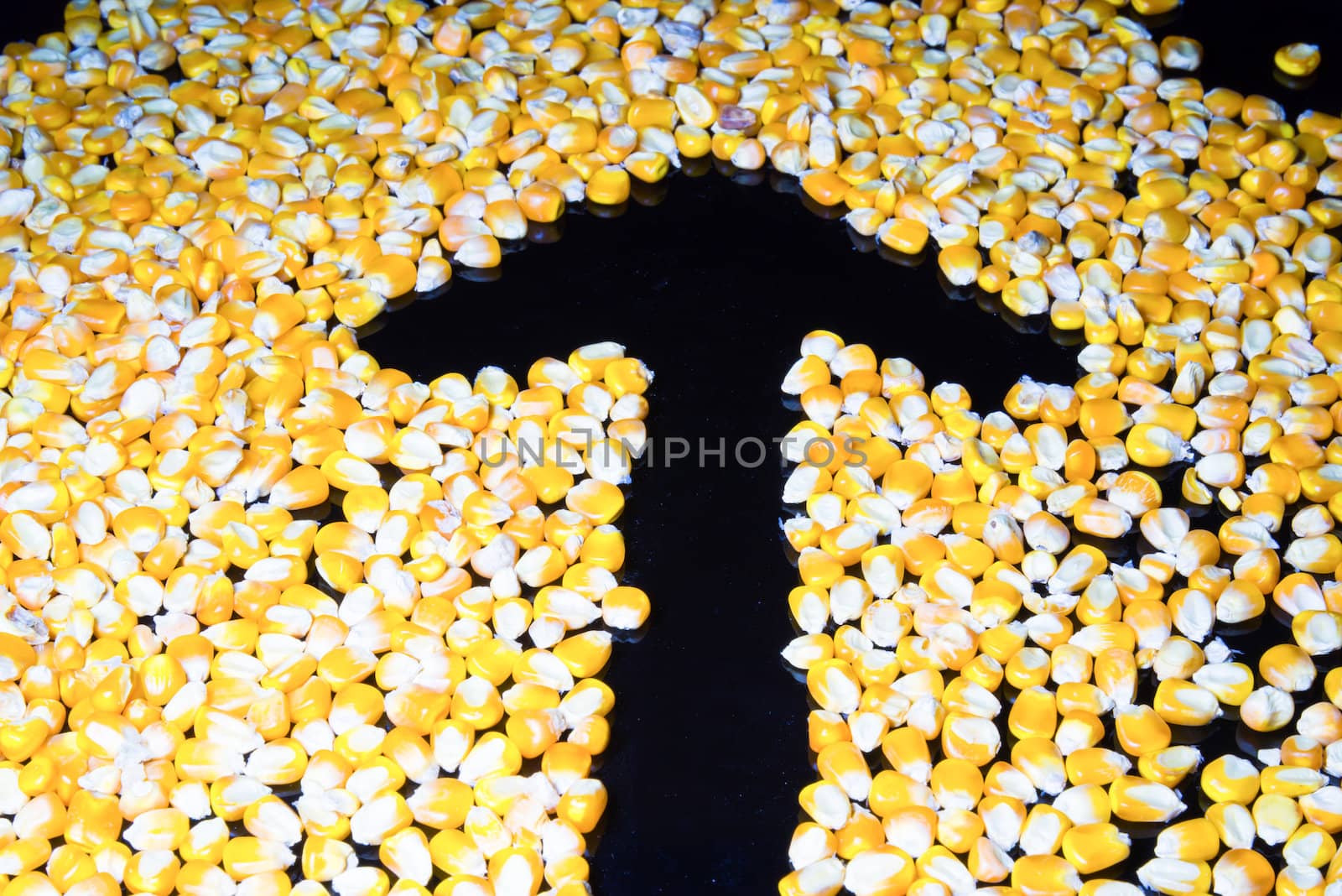 Seed corn to an arrow on a black background. by wmitrmatr
