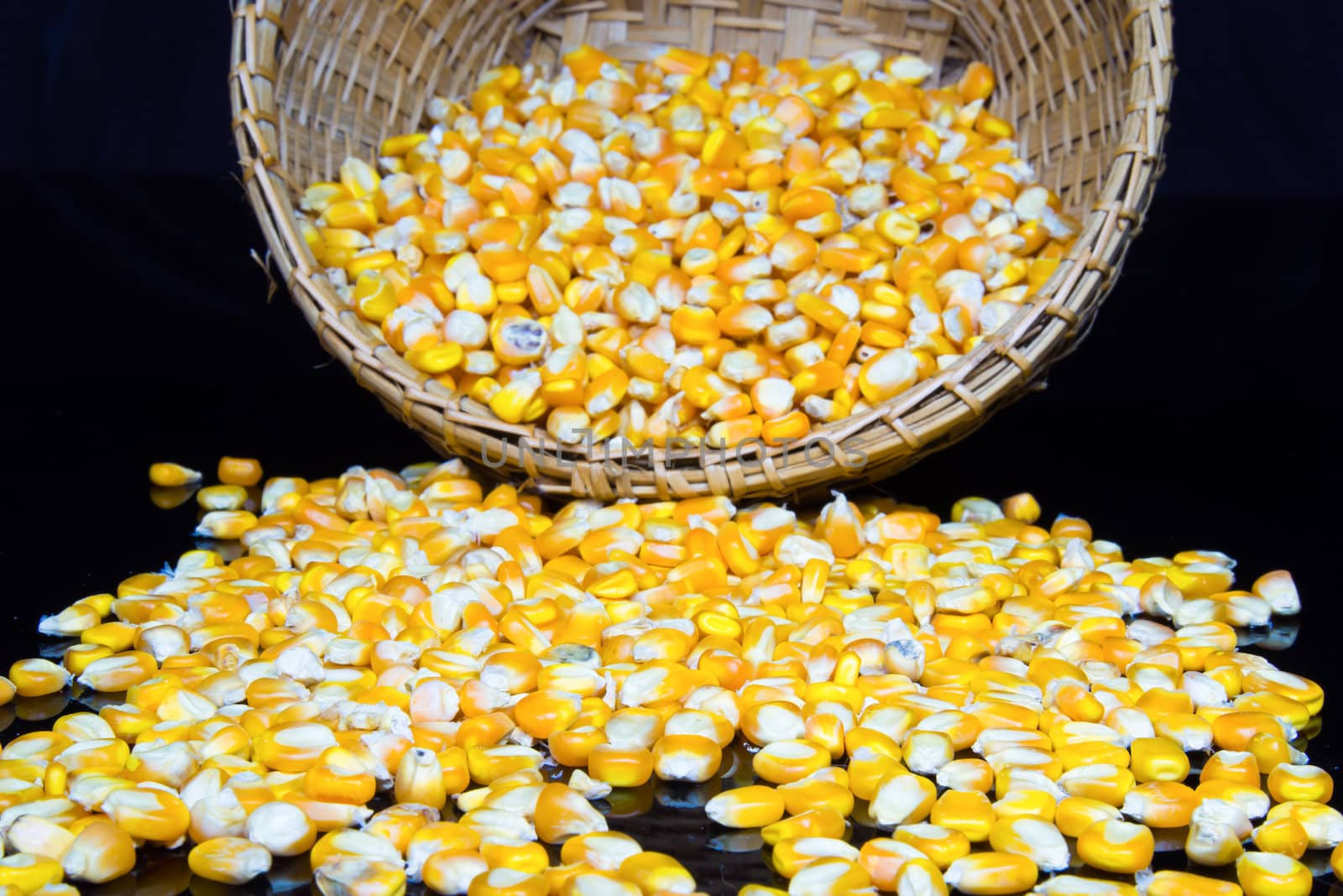 corn and corn seeds in a Basket on black background. by wmitrmatr