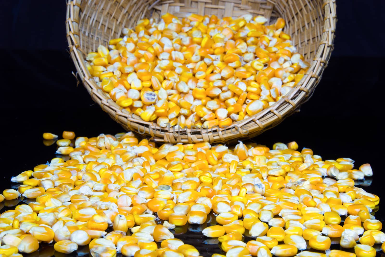 corn and corn seeds in a Basket on black background.