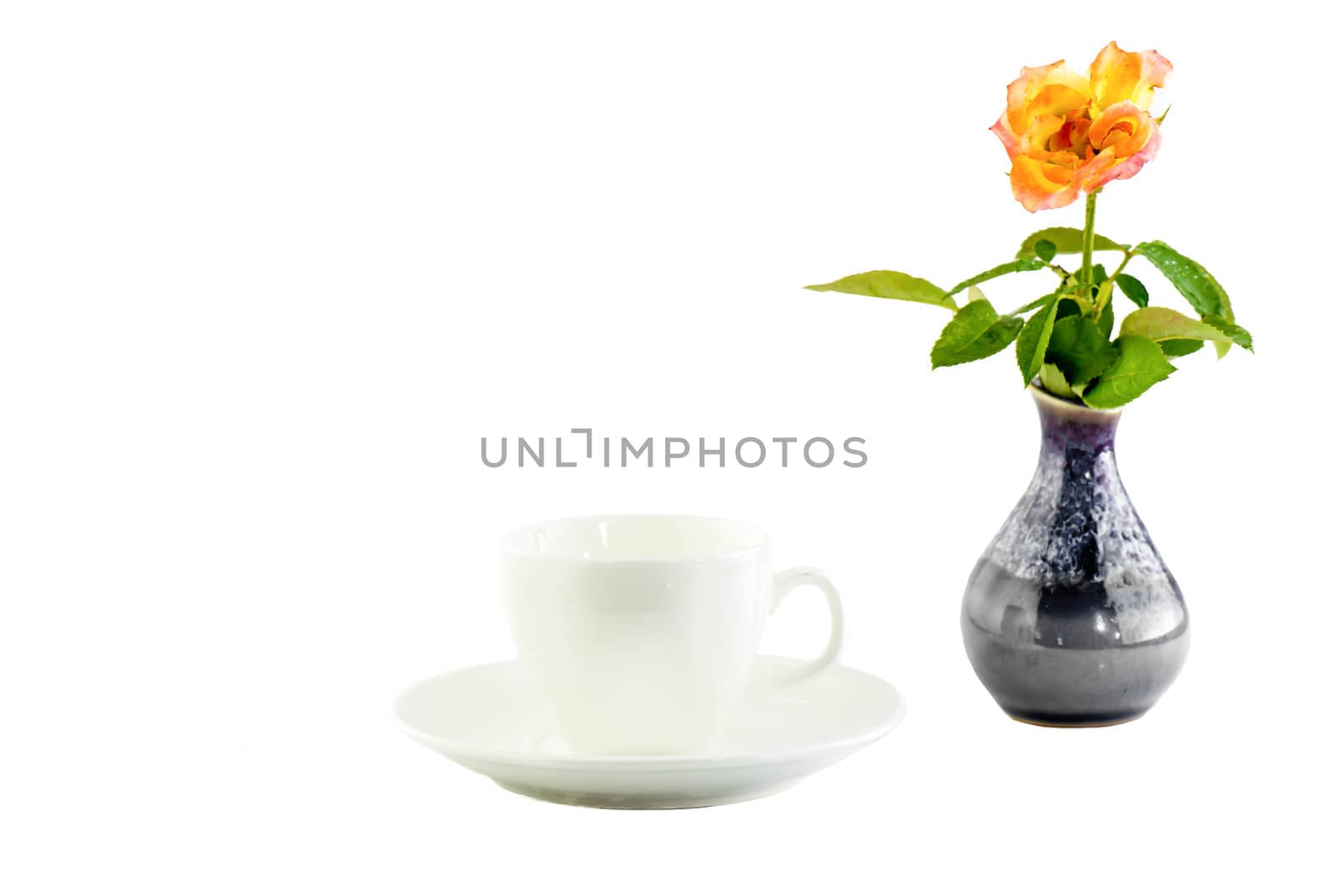white cup and rose in a black vase