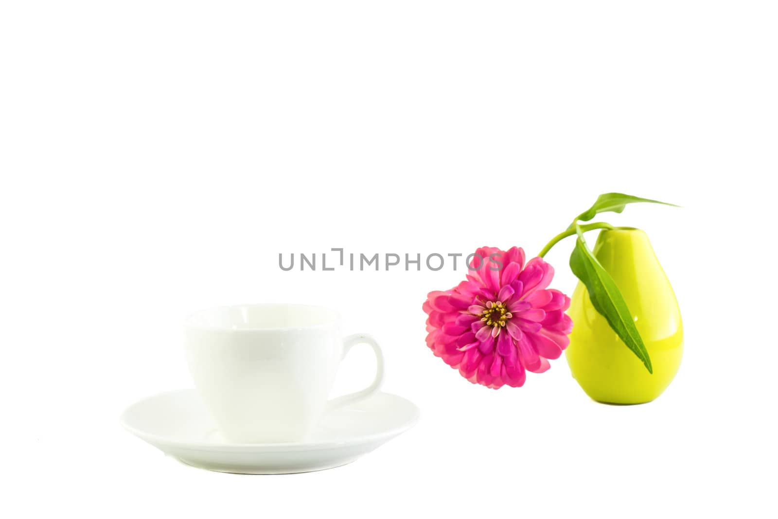 white cup and pink zinnia  by wmitrmatr