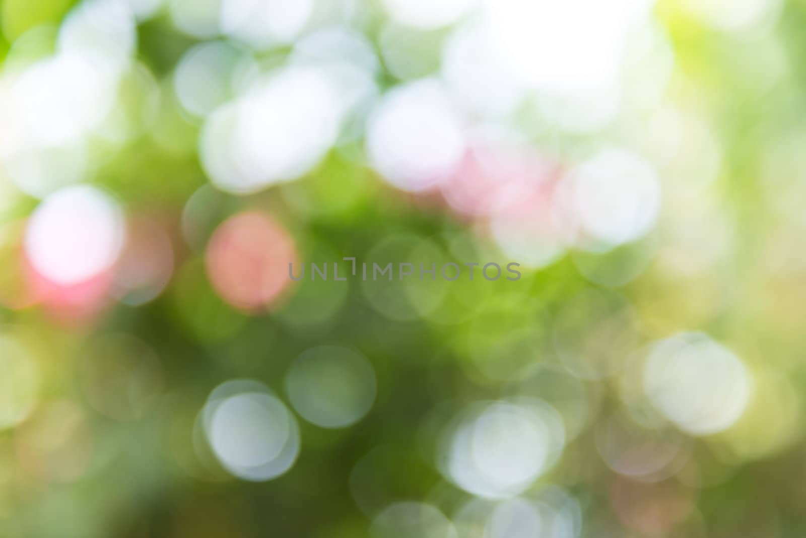 Green and blue summer bokeh for background