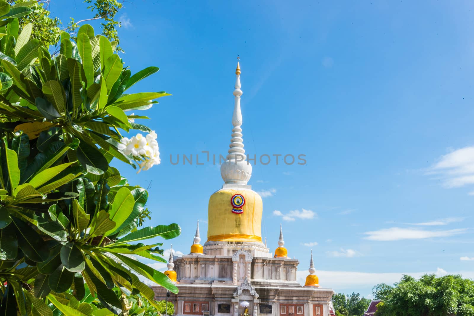 Buddha's relics in Thailand, Name is phra tard na dun