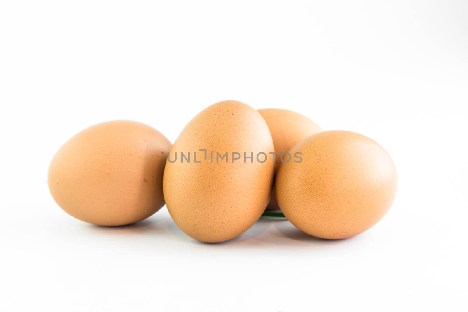 eggs by wmitrmatr