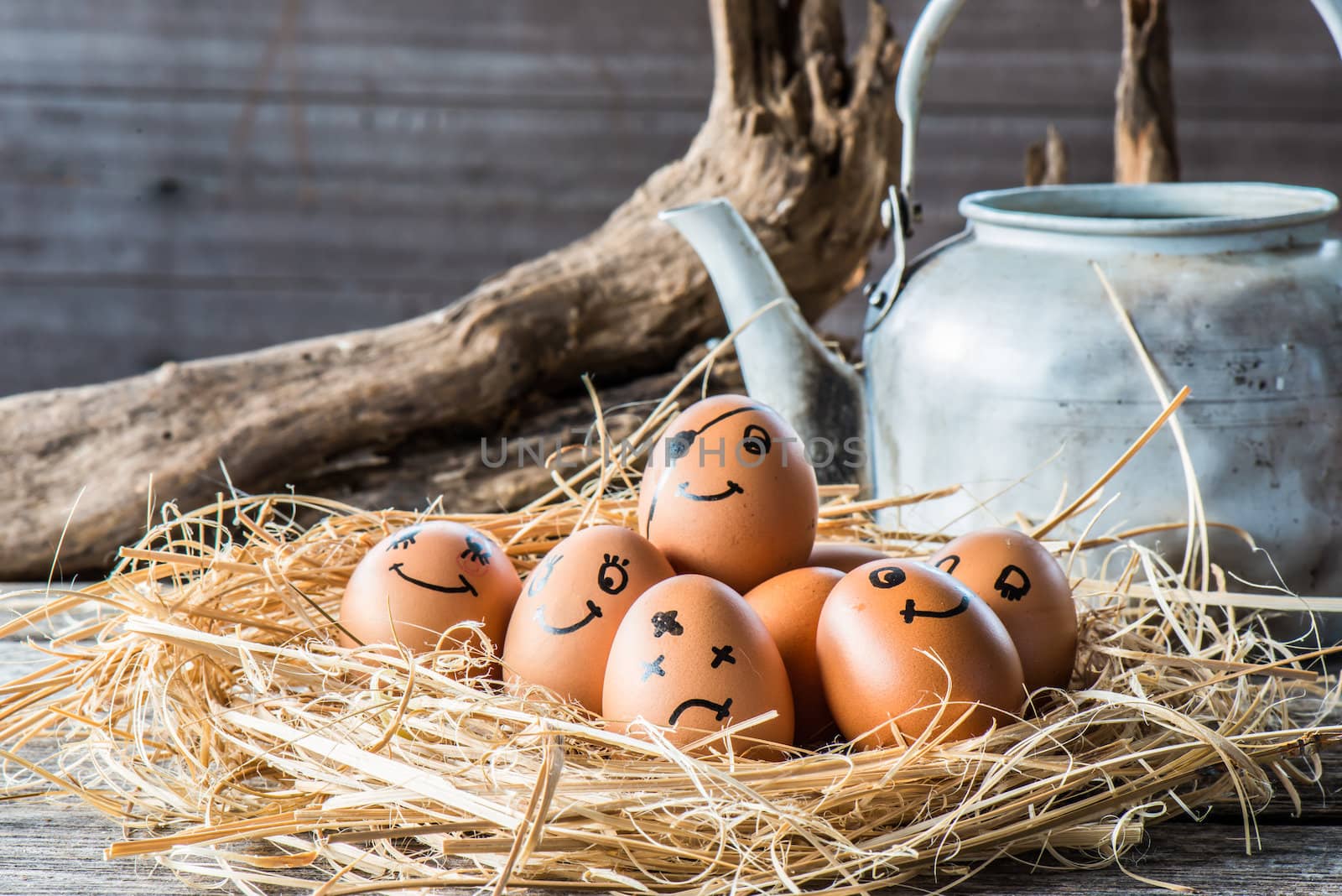 cose up of brown eggs at hay nest in chicken farm by wmitrmatr