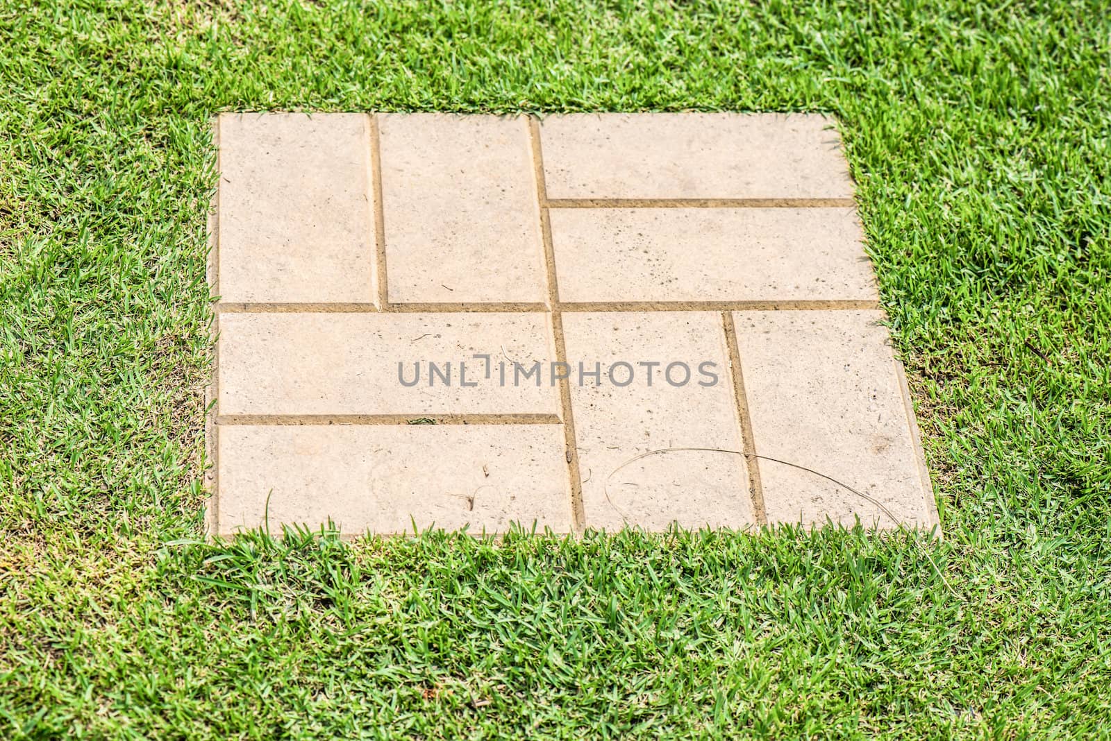 footpath made from stone on green grass in the garden by wmitrmatr