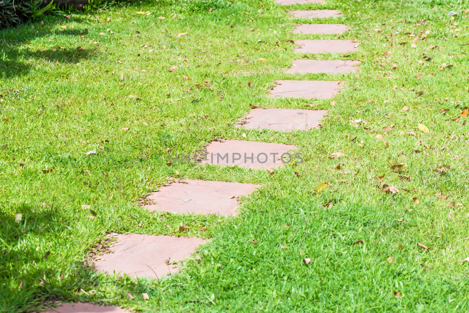 footpath made from stone on green grass in the garden by wmitrmatr