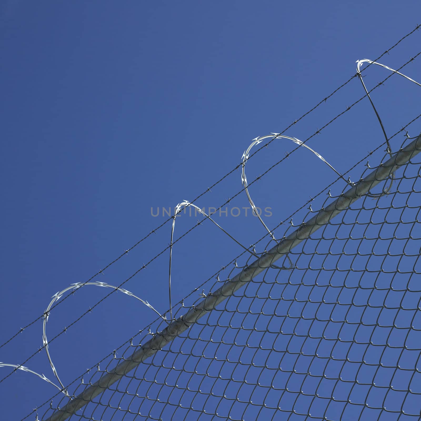 barbed wire fence and clear blue sky
