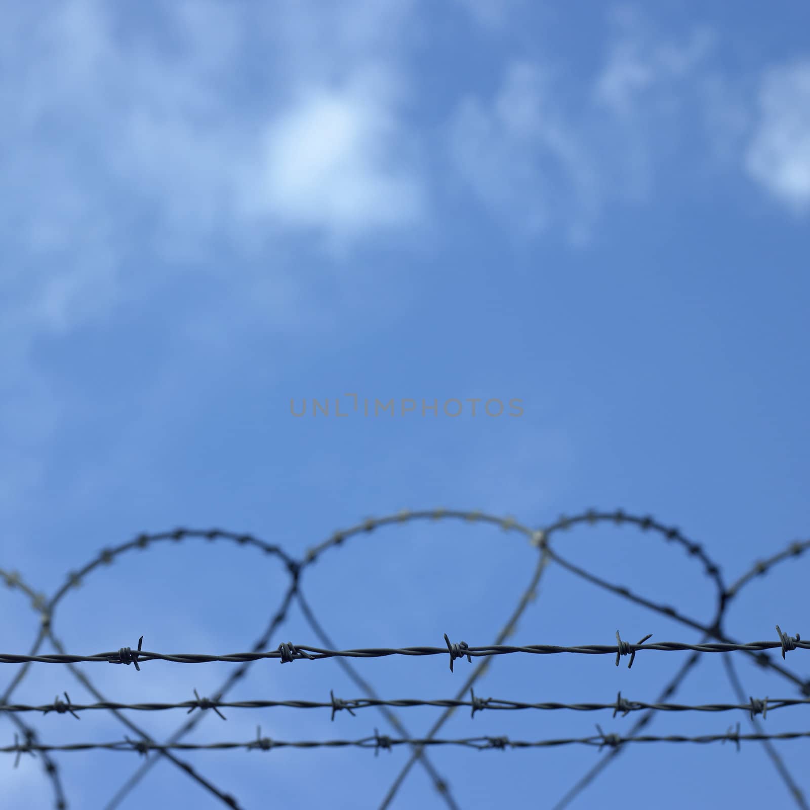 barbed wire fence and cloudy blue sky