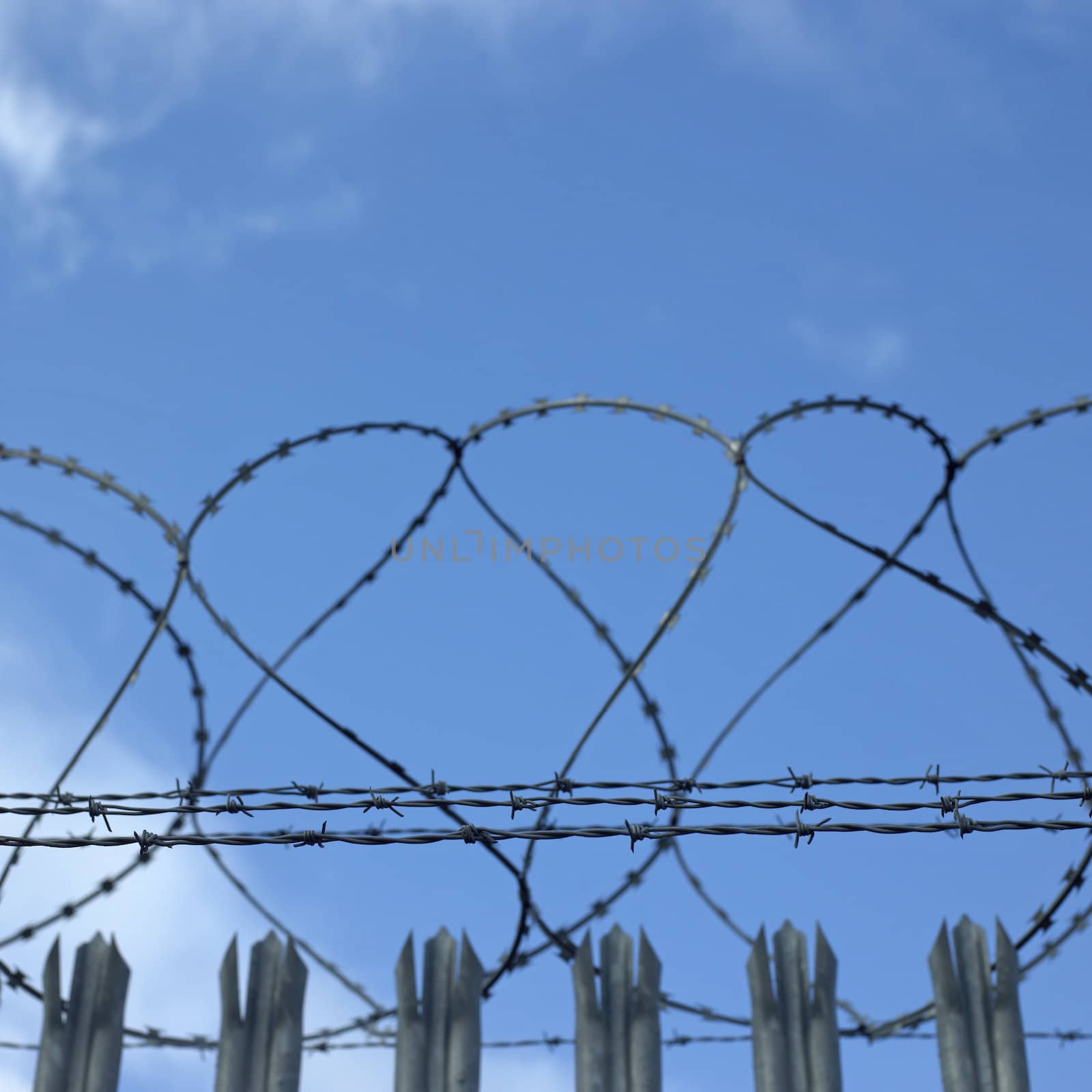 barbed wire fence and cloudy blue sky