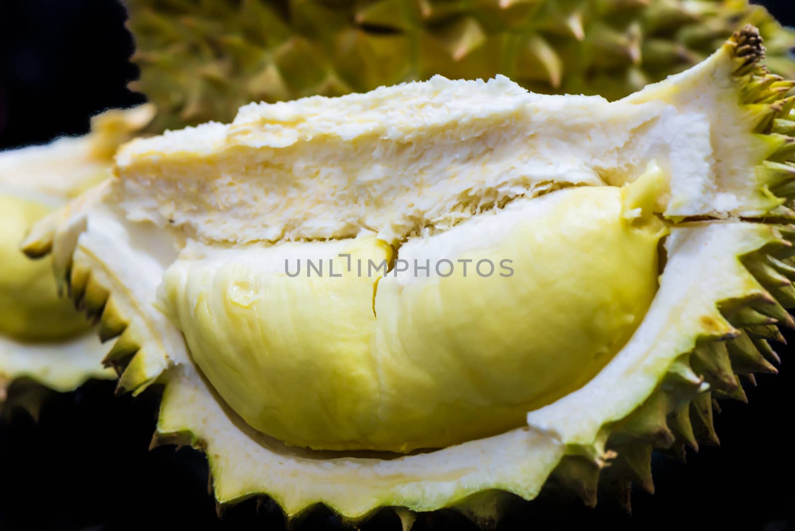 Durian by wmitrmatr