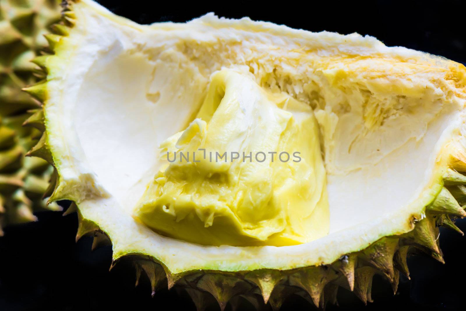 Durian by wmitrmatr