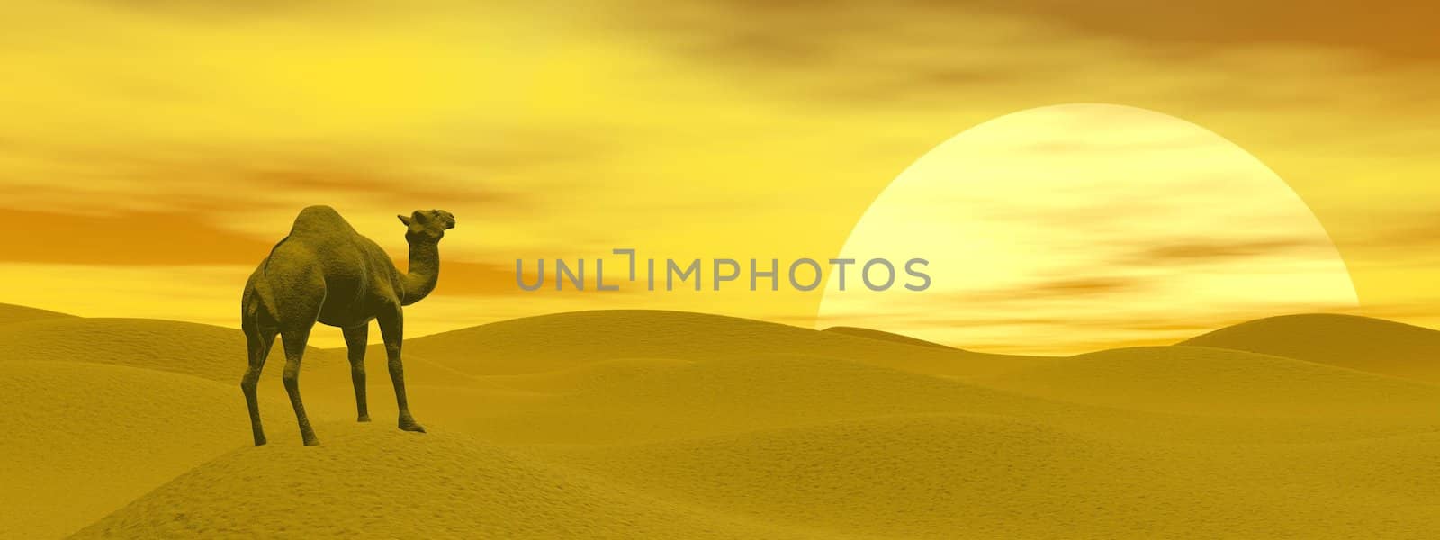 Camel in the desert - 3D render by Elenaphotos21
