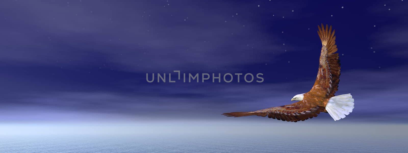 Bald eagle flying in deep blue sky - 3D render