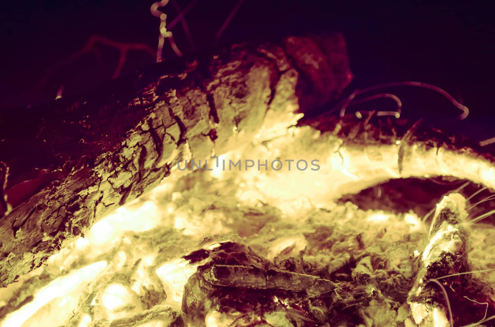 bonfire by puppiesam