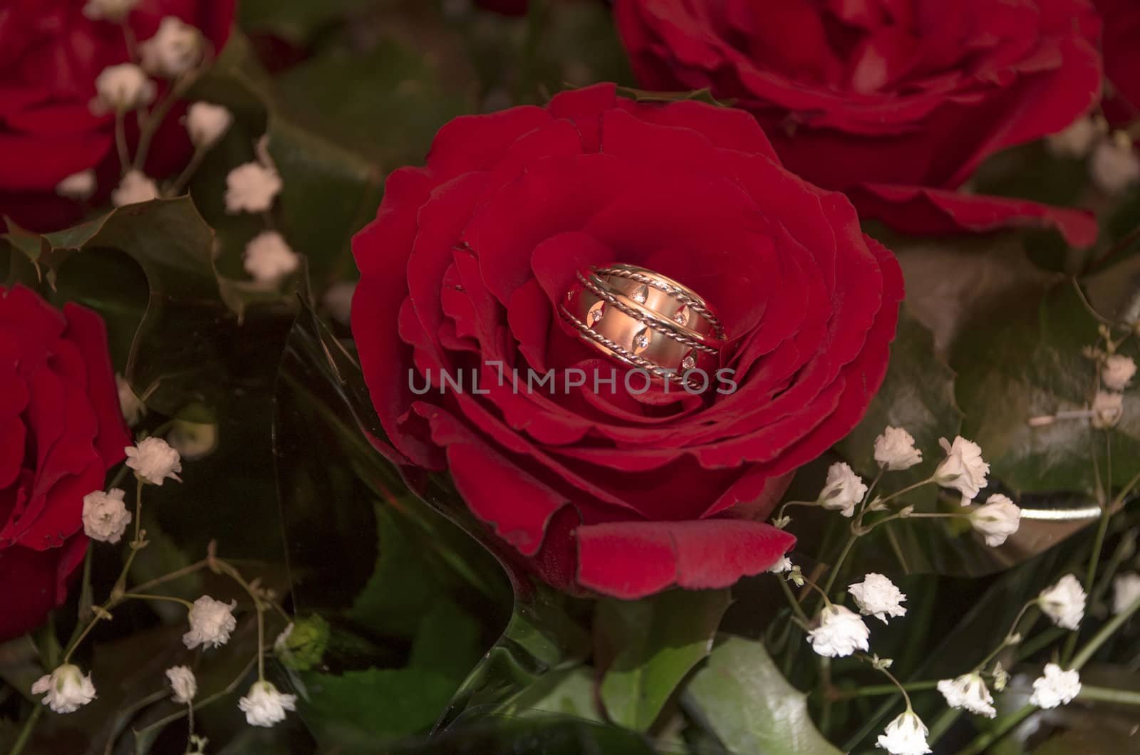 Wedding Bands and roses by puppiesam