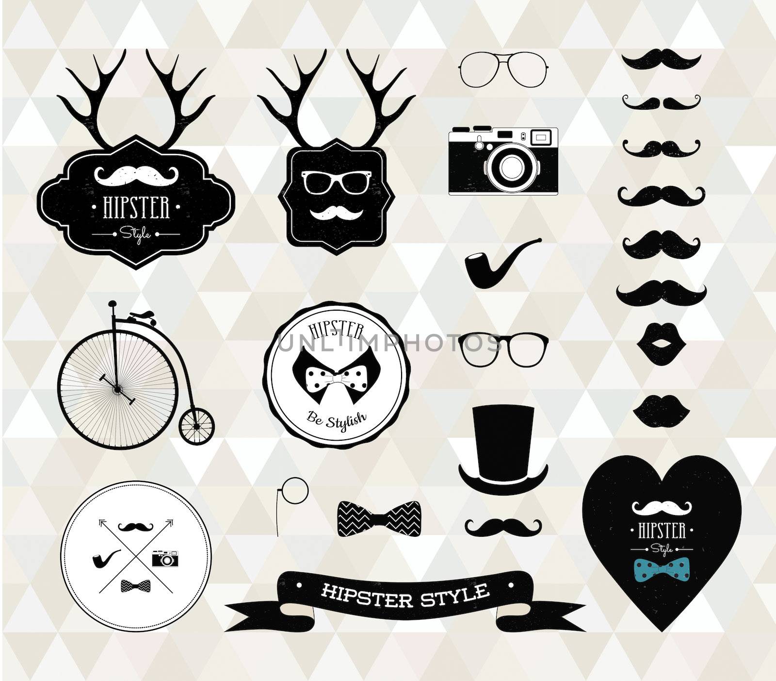 Hipster style elements, icons and labels. Vector Illustration