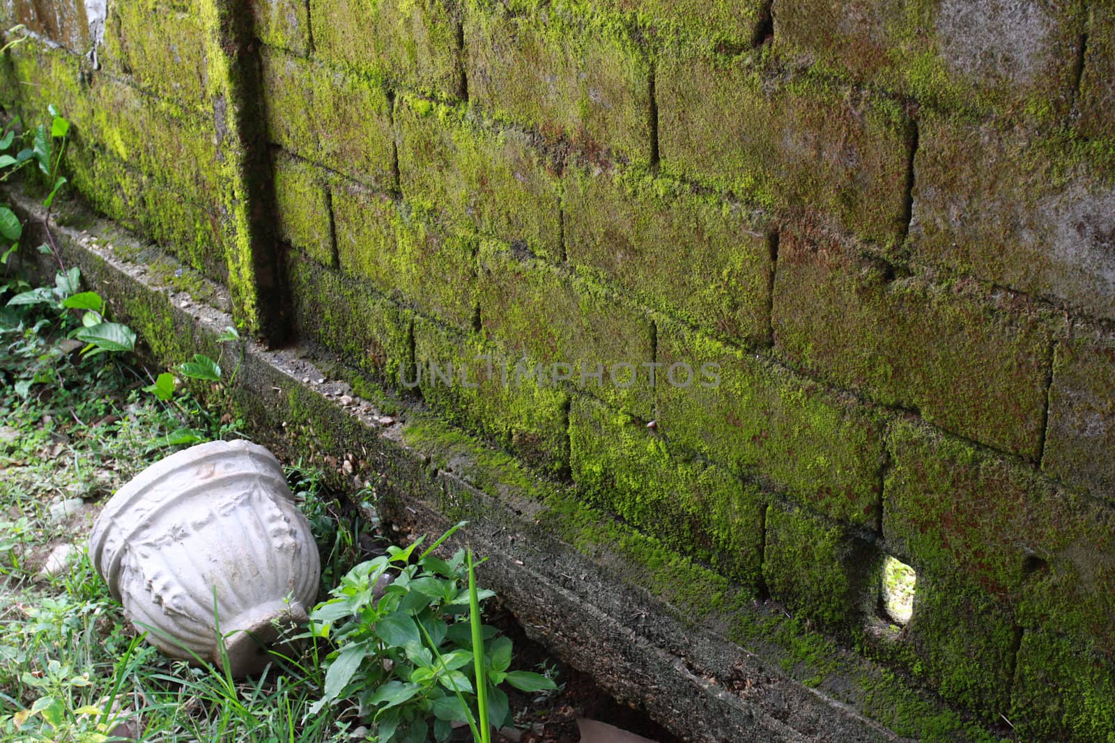 The old pot that no one want to use.Rolling near the fence.