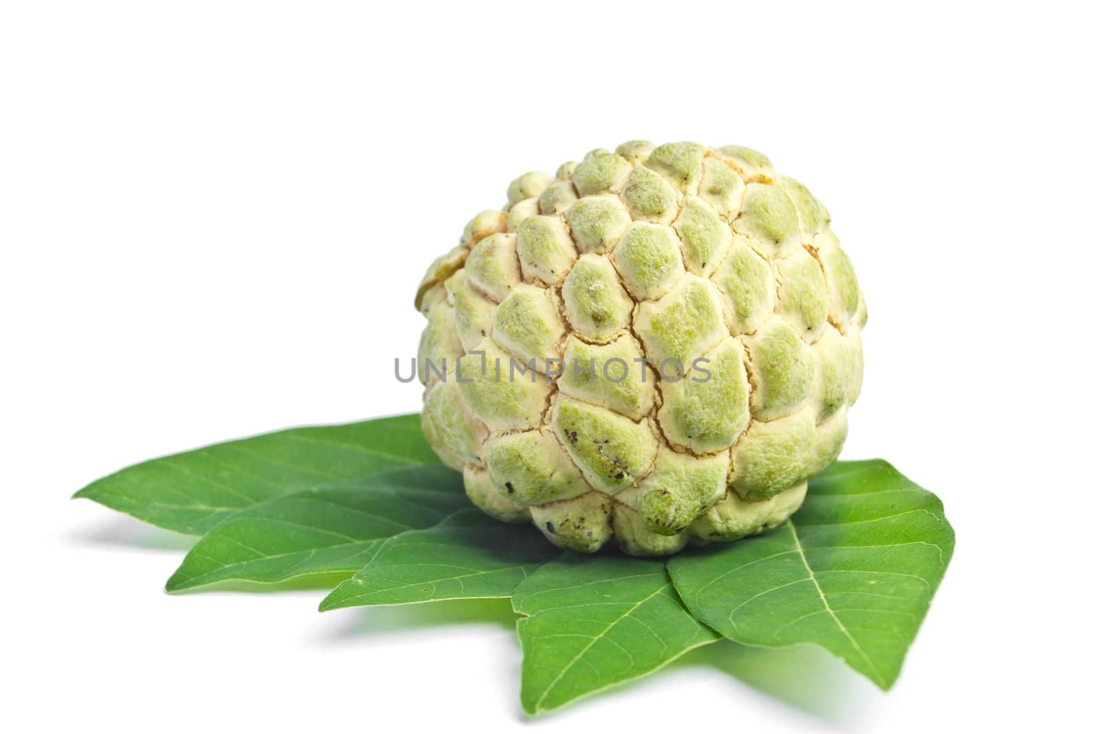 custard apple on white background