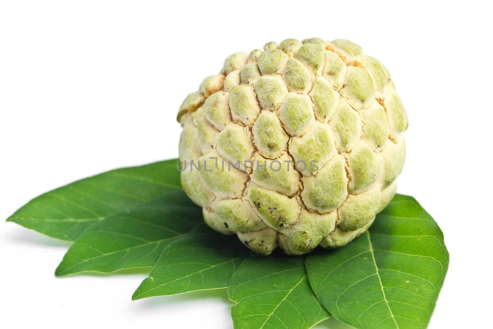 custard apple on white background by Thanamat