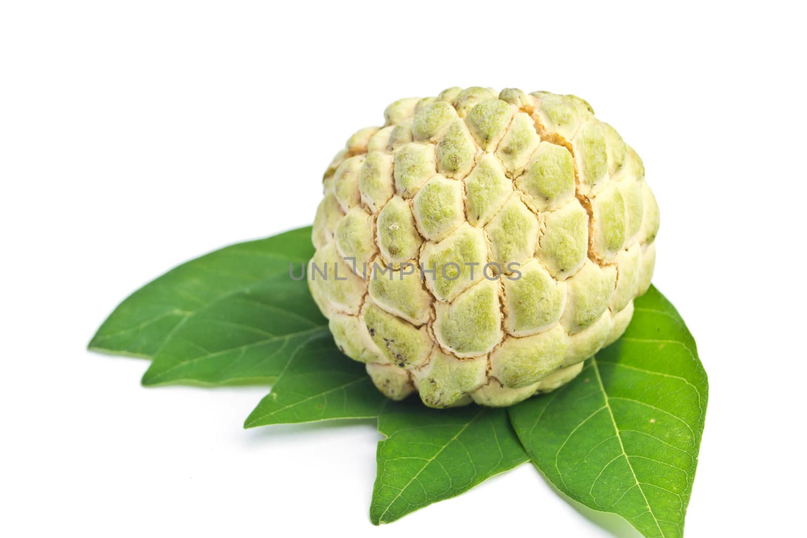 custard apple on white background