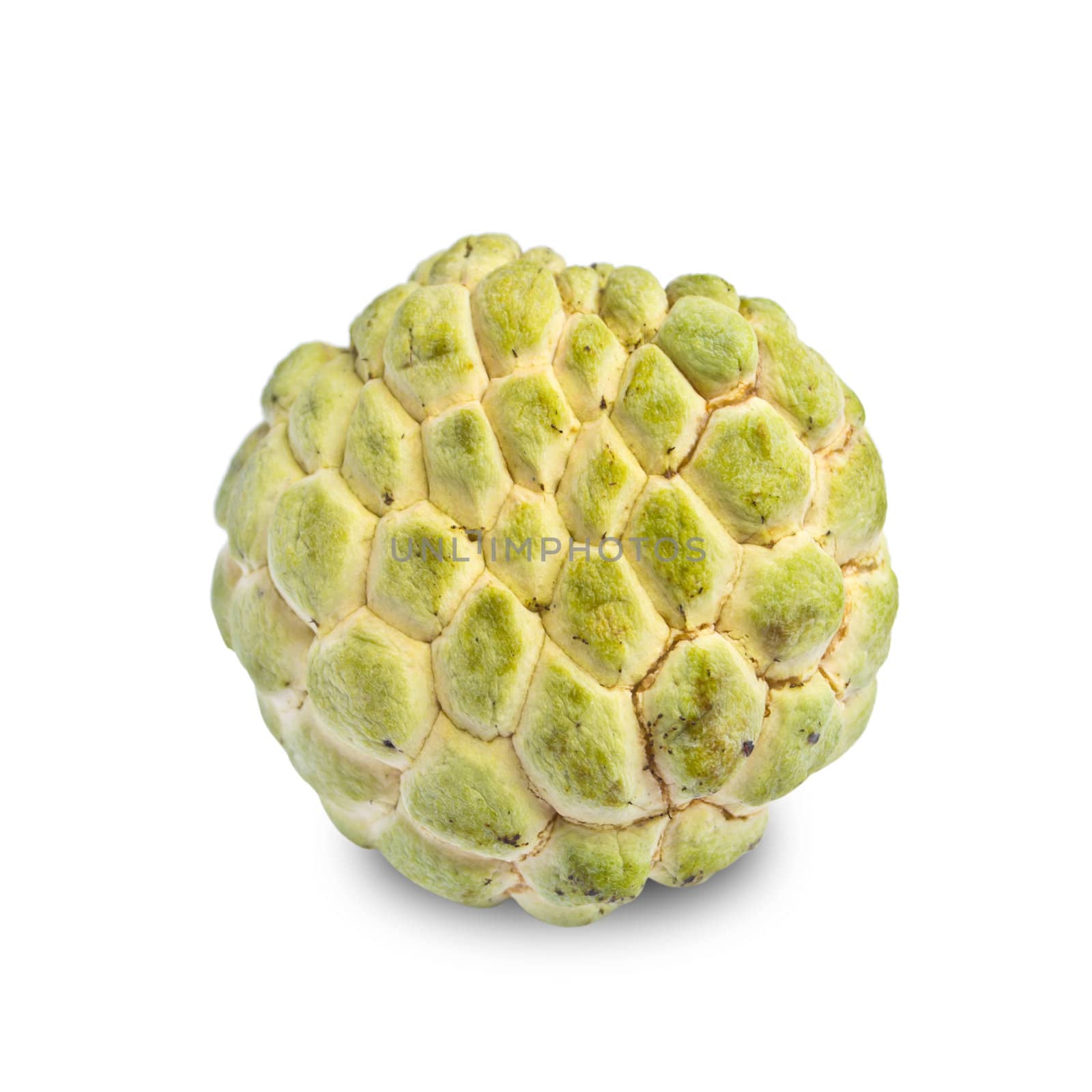 custard apple on white background