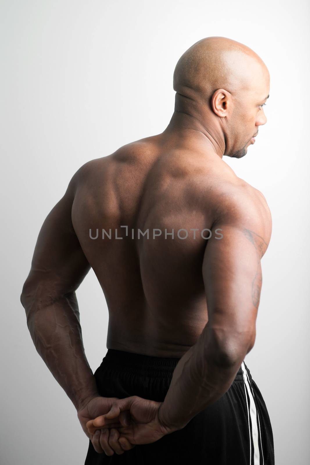 Toned and ripped body builder with a muscular back.