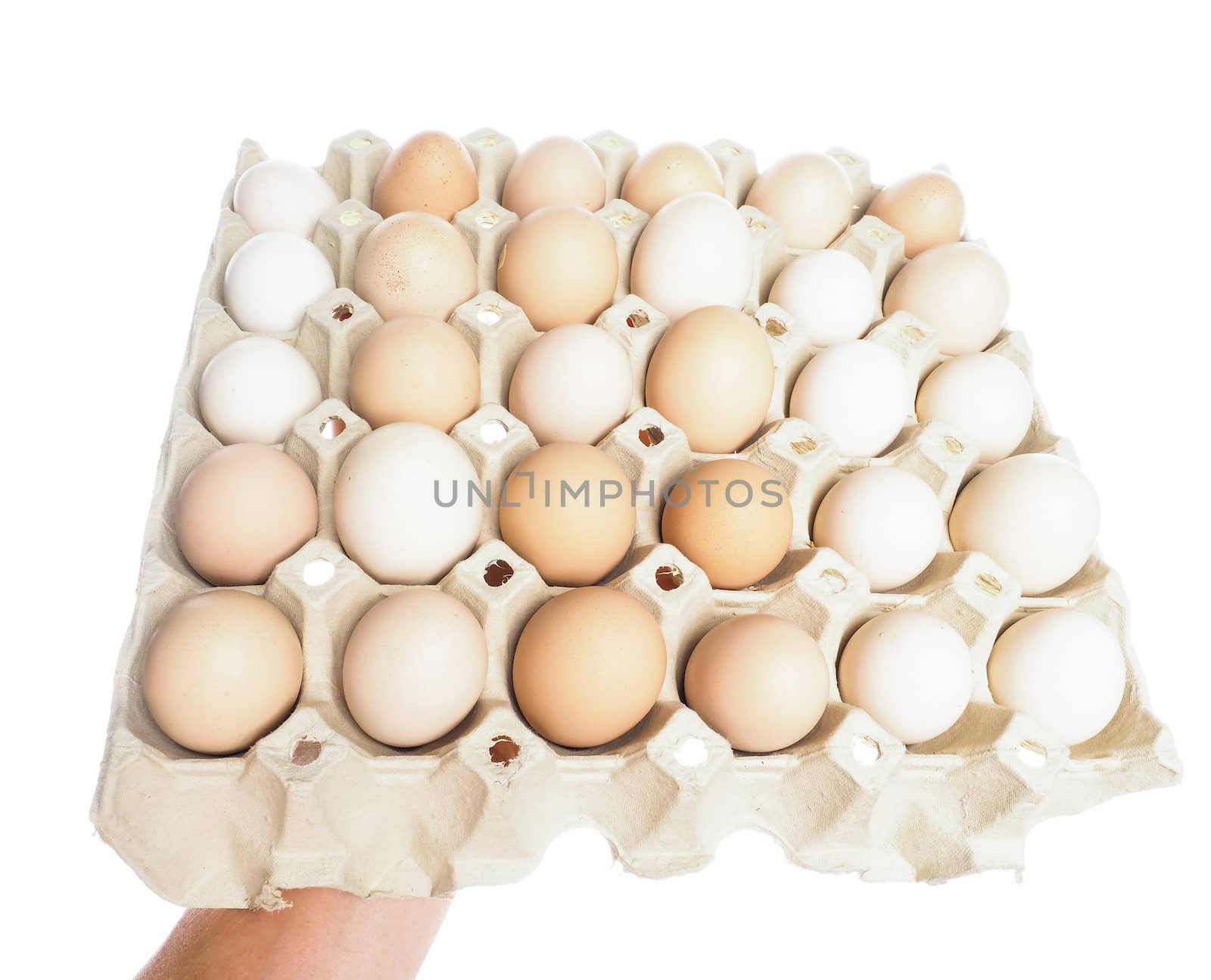 Farmed brown and white eggs in a container, isolated on white