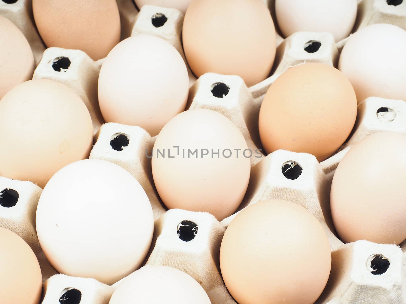 Closeup on farmed brown and white eggs in a container