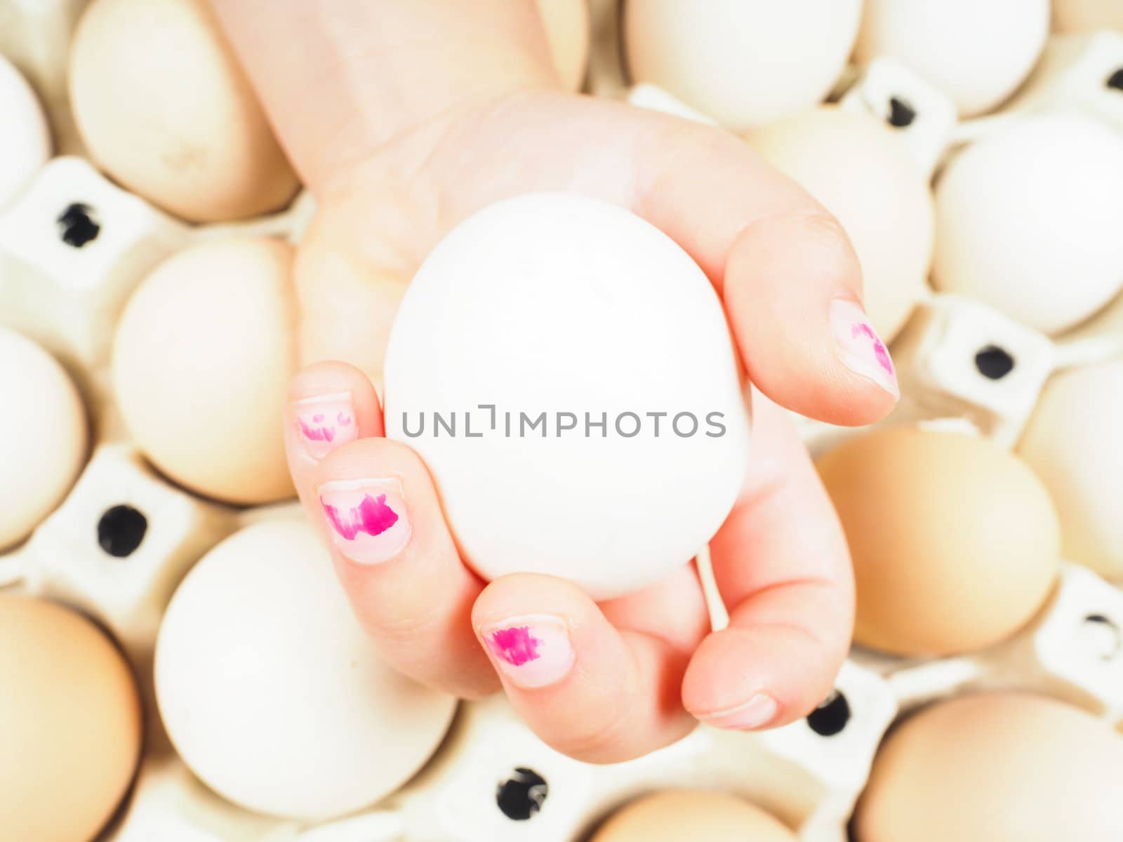 Little girls hand holding a chicken egg over a container of brown and white eggs