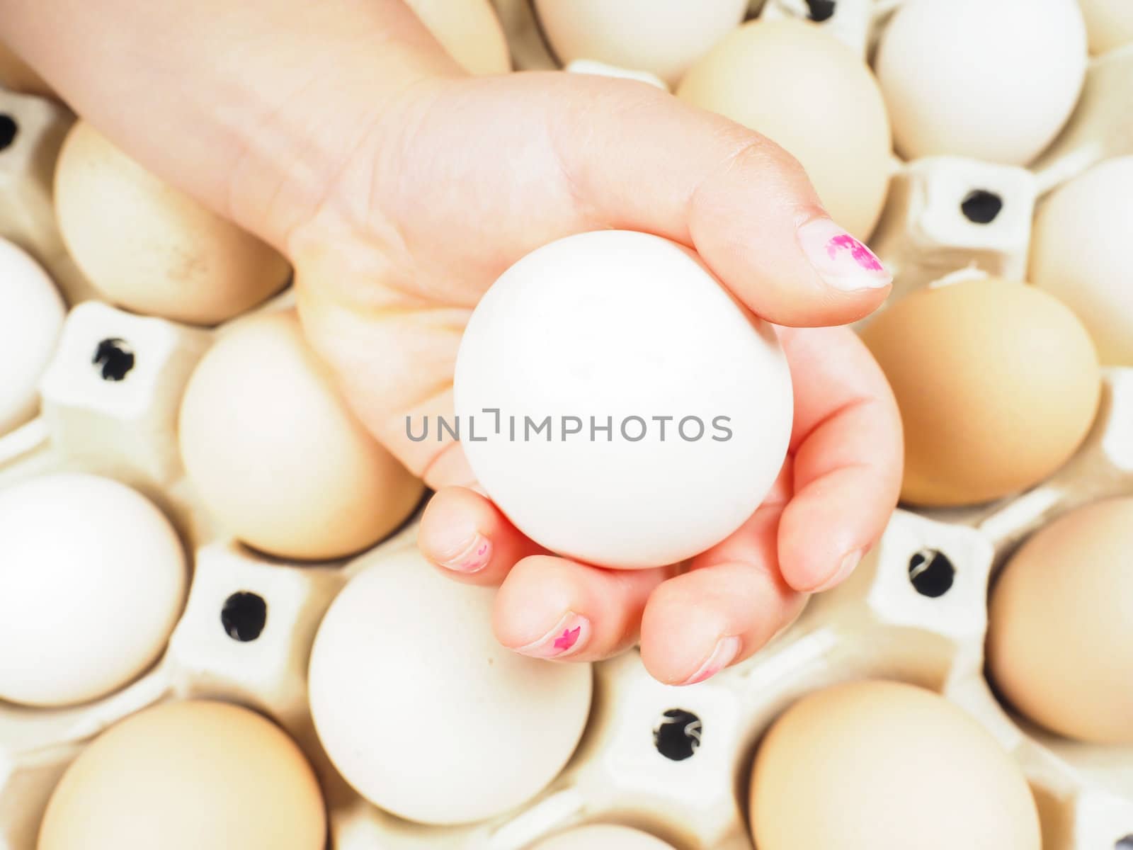 Little girls hand holding a chicken egg over a container of brown and white eggs