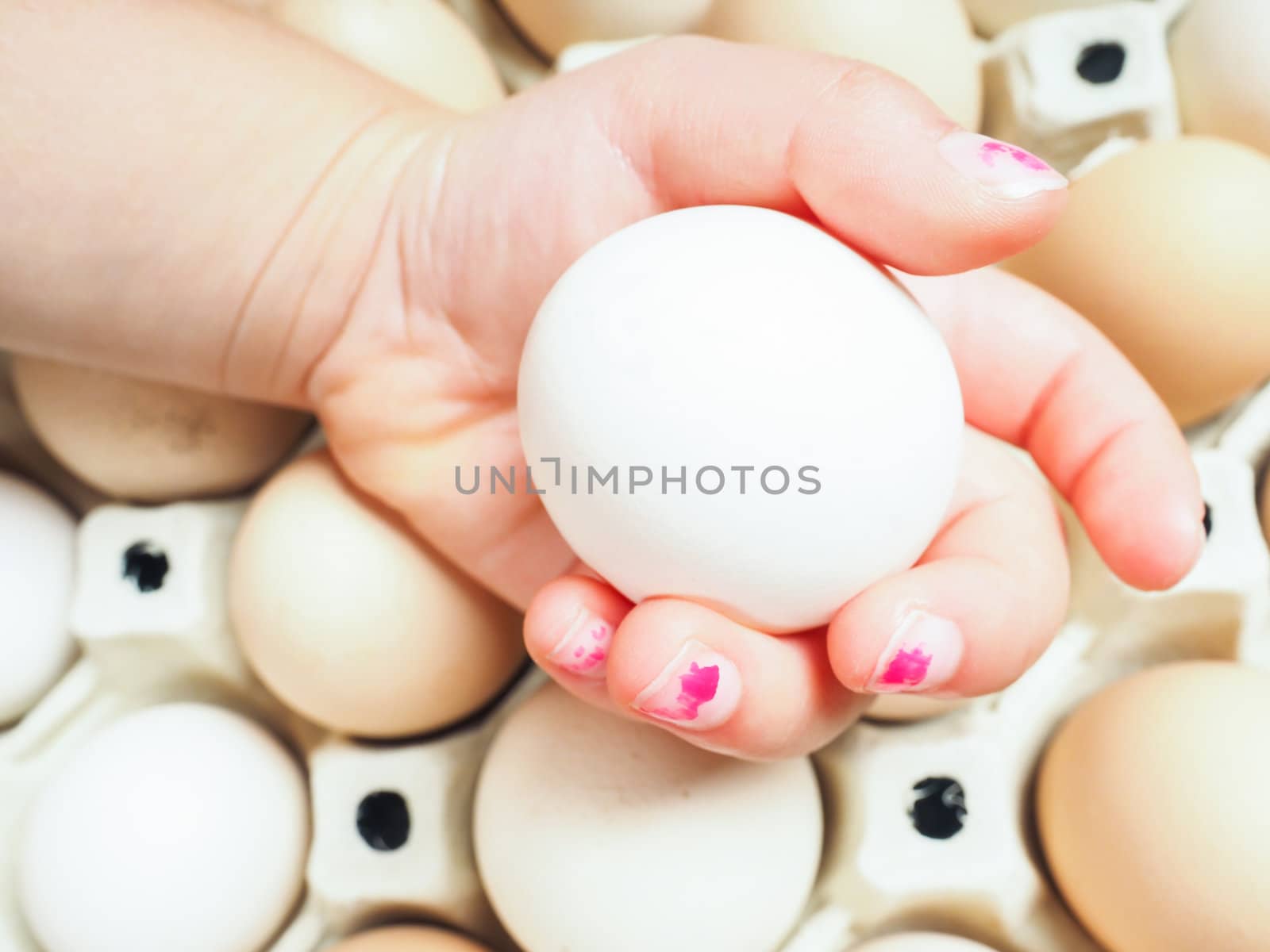 Little girls hand holding a chicken egg over a container of brown and white eggs