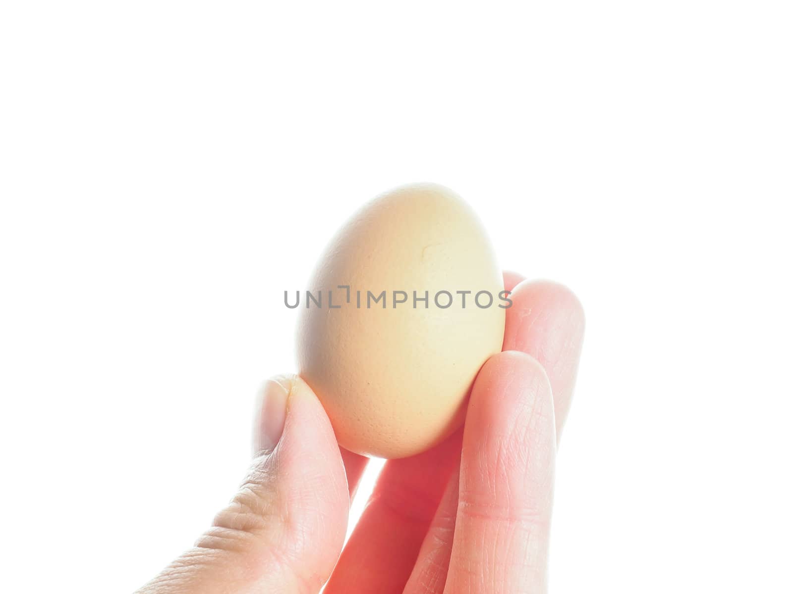 Closeup on farmed brown chicken egg held up by fingers towards w by Arvebettum