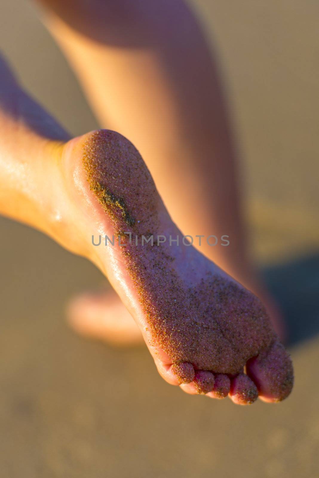 Sandy Female Feet On The Beach By Sunset