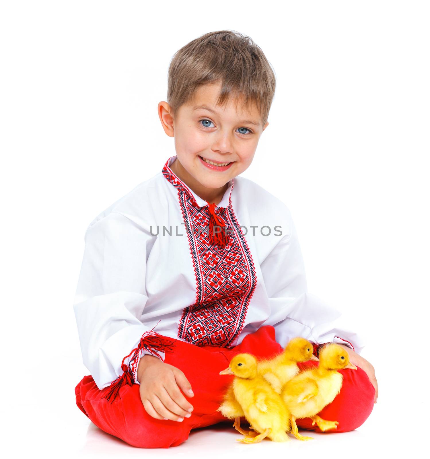 Happy little boy with cute ducklings isolated on white background