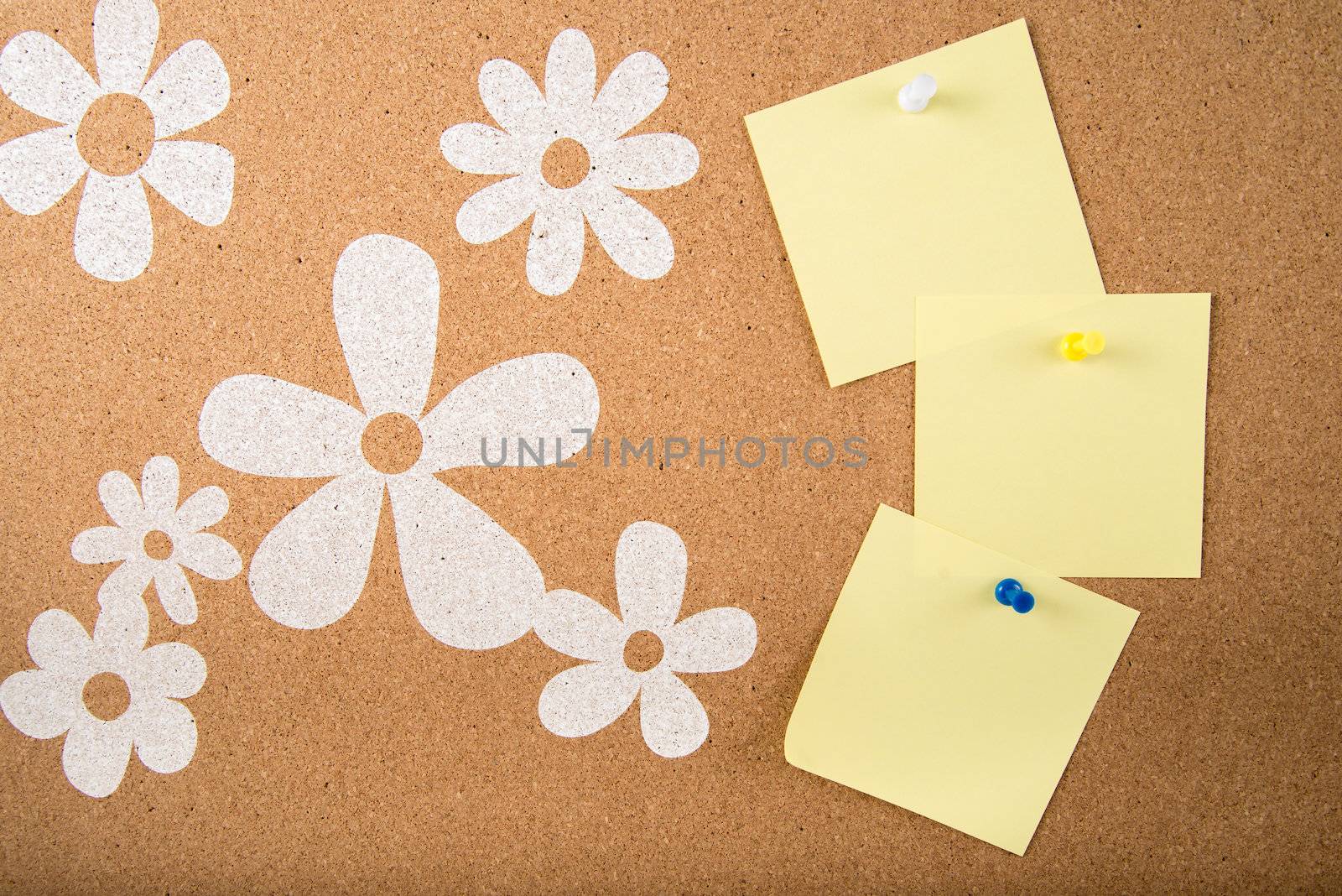 Color sticky memo note cards on cork board